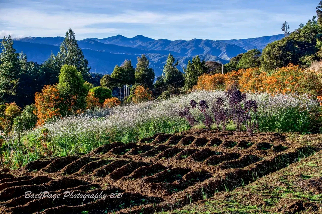 Kundiawa-Gembogl District